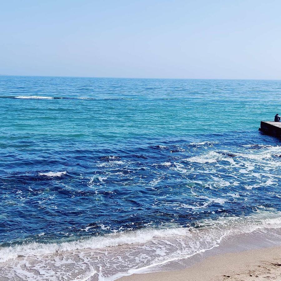 Будинок В Одесі Біля Моря 16 Станція Фонтану Odessa Exterior foto